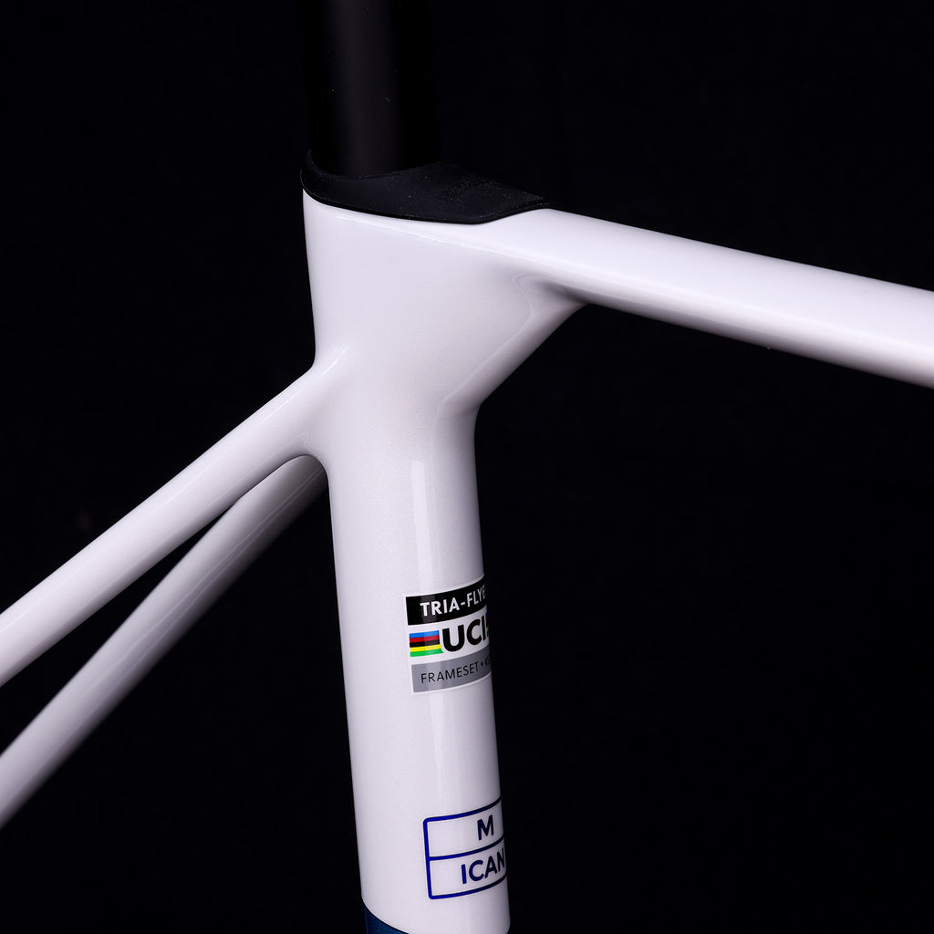 ICAN UCI ROAD BIKE DISC FRAME FLYEE TRIAERO