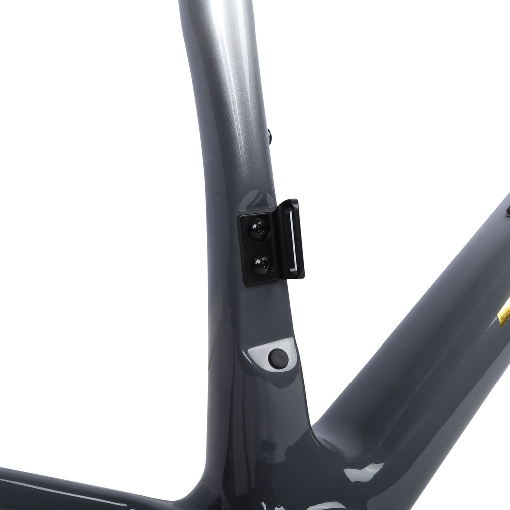ICAN UCI ROAD BIKE DISC FRAME FLYEE