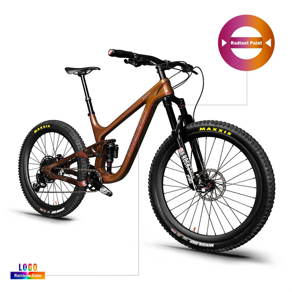 Enduro 29 Boost