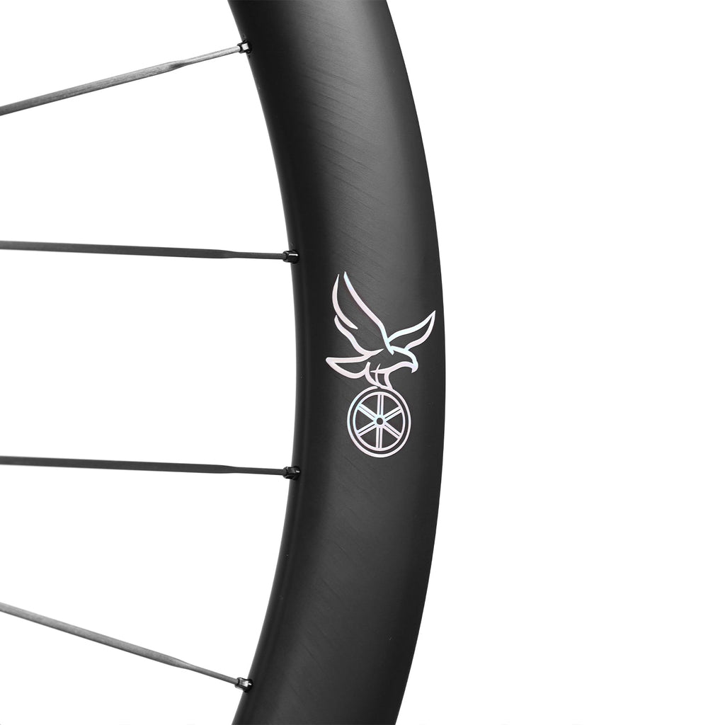 ICAN Aeris 50 disc carbone spoke wheelset 45T ratchet  TRIAERO